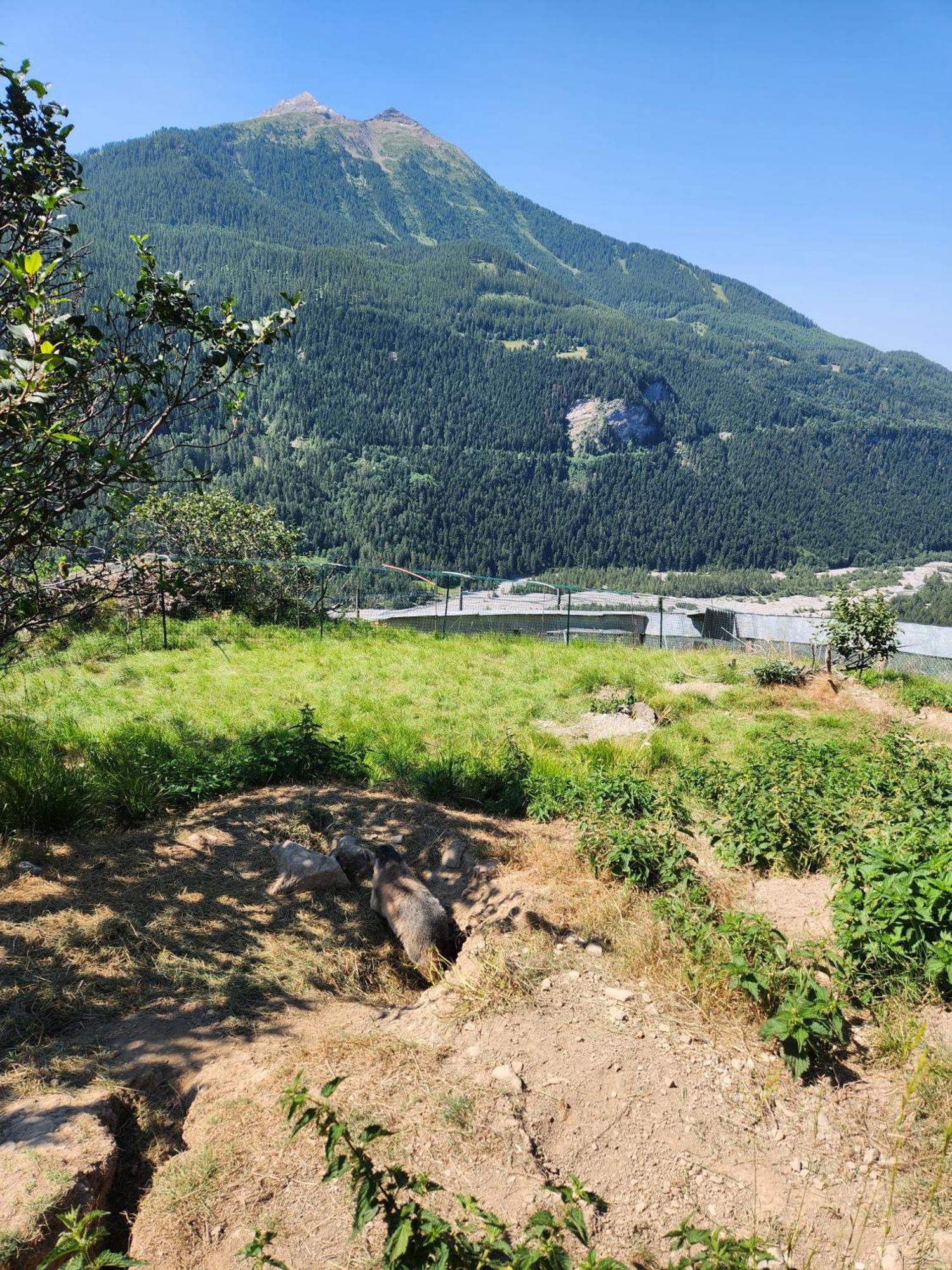 Appartement T3 Avec Jardin Proche Village 尚普索地区圣博内 外观 照片